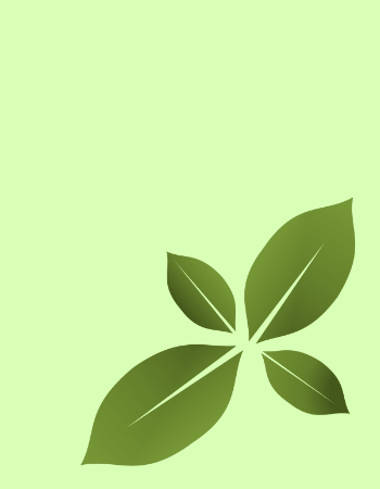 Fondo verde con hojas