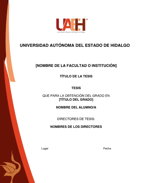 Portada de TESIS UAEH
